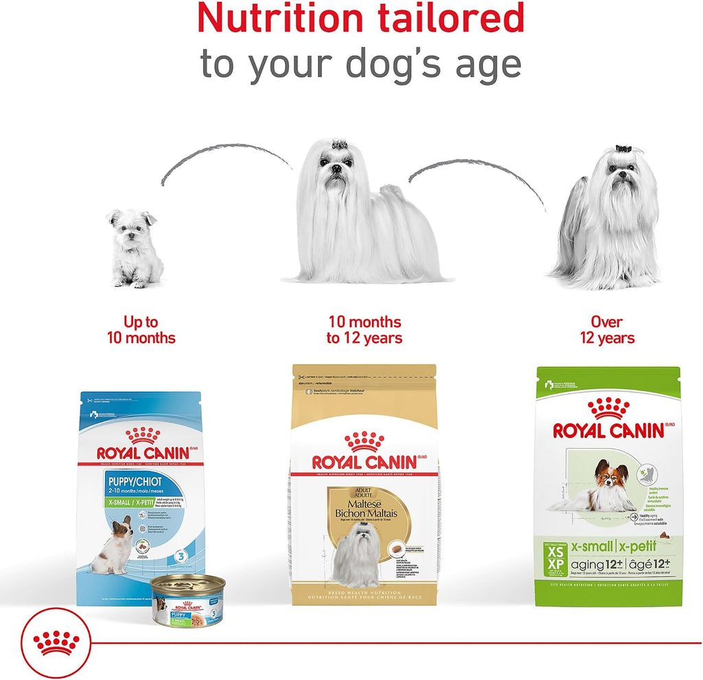 ROYAL CANIN Maltese Adult Dry Dog Food, 10 lb Bag | Coat Health with Omega Fatty Acids, Highly Digestible Proteins for Adult Malteses, Specialized Kibble for Easy Pickup