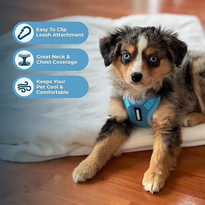 Voyager Step-in Pet Harness - All Weather Mesh, Adjustable Step in Harness for Cats and Dogs by Best Pet Supplies - Baby Blue, XS