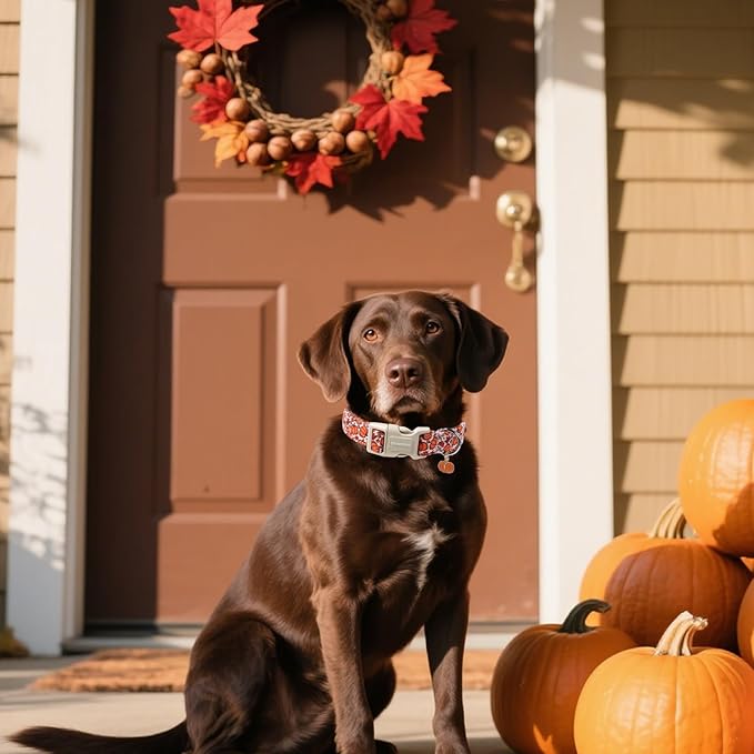DOGWONG Pumpkin Dog Collar- Cute Pink Fall Dog Collars Adjustable Maple Fall Dog Collar for Small Medium Large Dogs M
