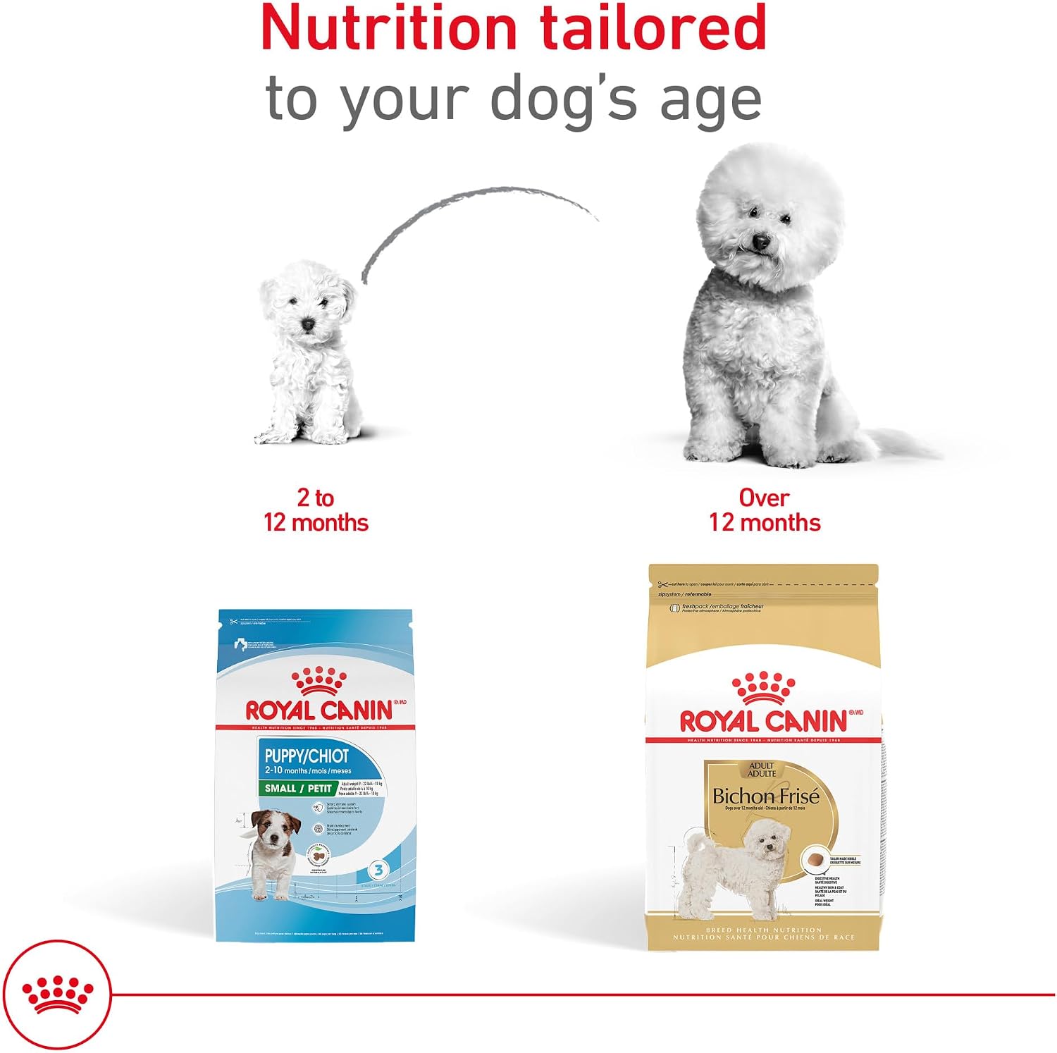 ROYAL CANIN Bichon Frise Adult Dry Dog Food, 10 lb Bag | Supports Skin & Coat with Essential Nutrients, For Adult Bichon Frises 10+ Months, Specialized Kibble for Easy Pickup