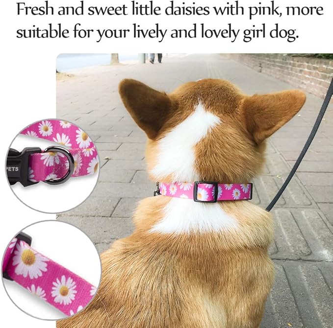 QQPETS Adjustable Soft Dog Collar: Print Flower Pink Multicolor Cute Patterns for XS Small Medium Large Pet Girl Boy Puppy Walking Running Training (XS, Small Daisies)