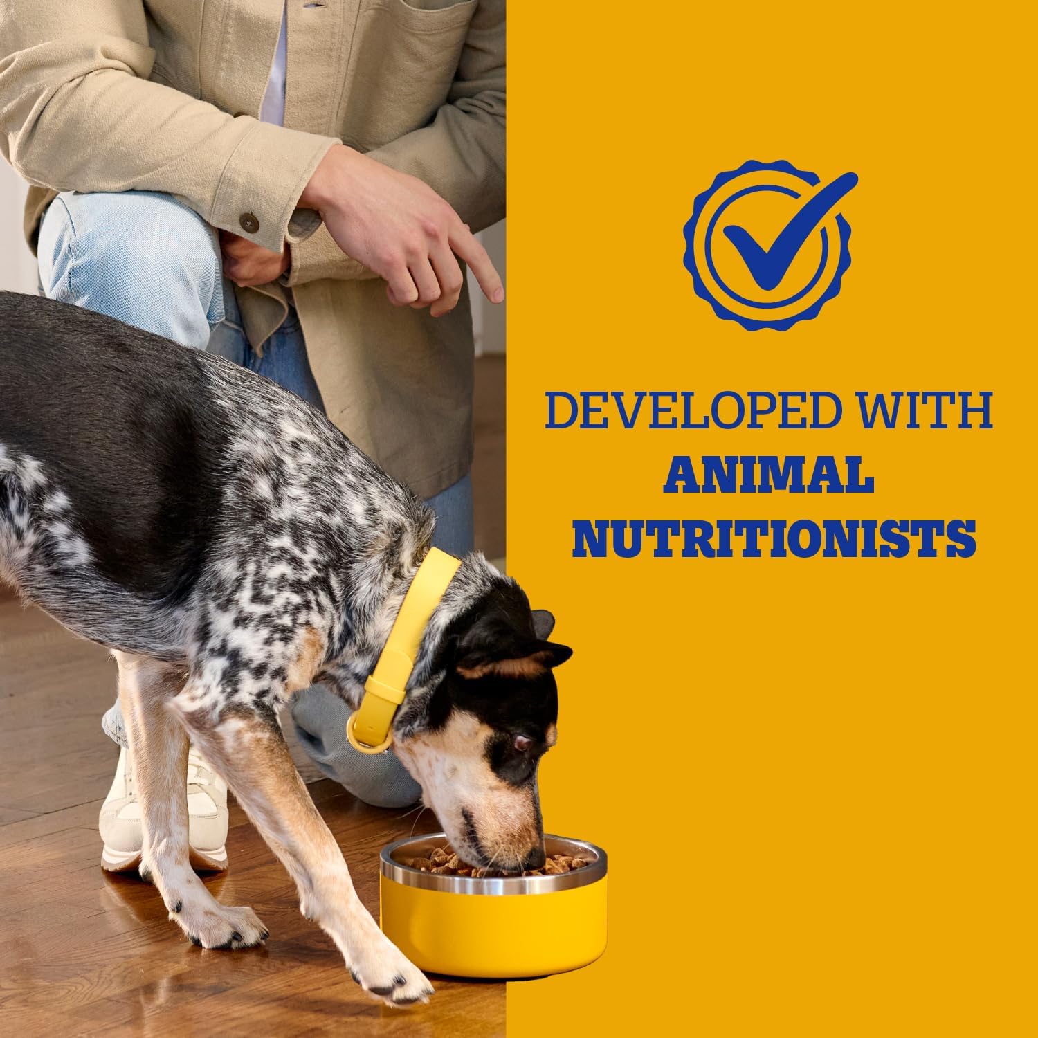Pedigree Complete Nutrition Dry Dog Food, Chicken & Vegetable, 18 lb | Nutrient boost, prebiotic fibers, 36 vitamins & minerals, Omega 6 & Zinc, natural flavors, supports skin & coat