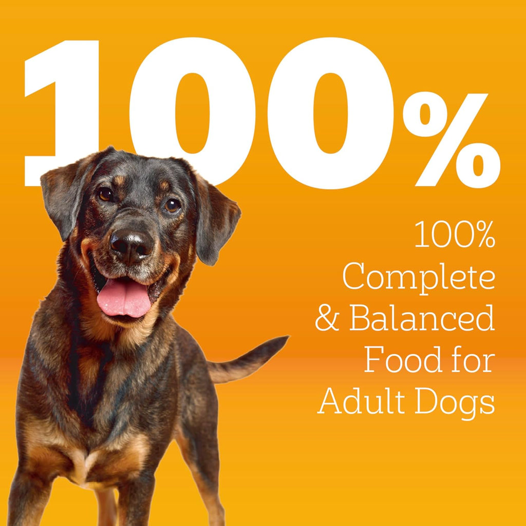 Pedigree High Protein Adult Dry Dog Food, Beef and Lamb, 18 lb | Real red meat, 25% more protein, 36 vitamins & minerals, prebiotic fiber, Omega 6 & Zinc, 100% complete & balanced
