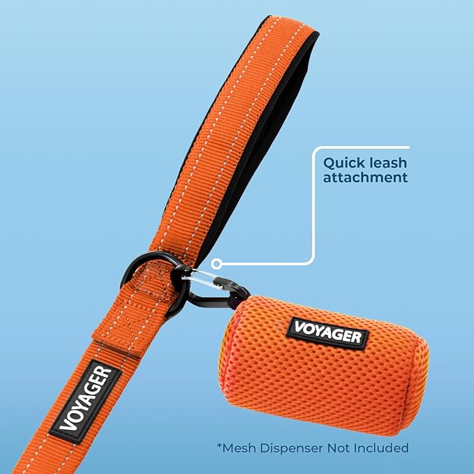 Best Pet Supplies Voyager Reflective Dog Leash or Collar with Neoprene Handle, for Small, Medium, and Large Breed Puppies, Cute and Heavy Duty for Walking, Running and Training - Orange Leash, L
