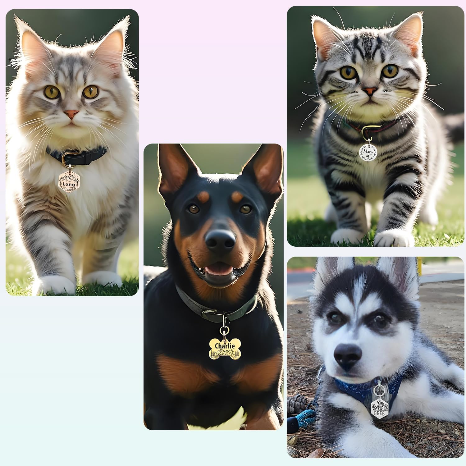 Personalized Pet ID Tags,Custom Stainless Steel Dog and Cat Tags (Hexagon) | Customizable Hexagon, Bone and Round Shapes, Multiple Designs with Mountain, Floral, and Night Sky Patterns,Laser engraving