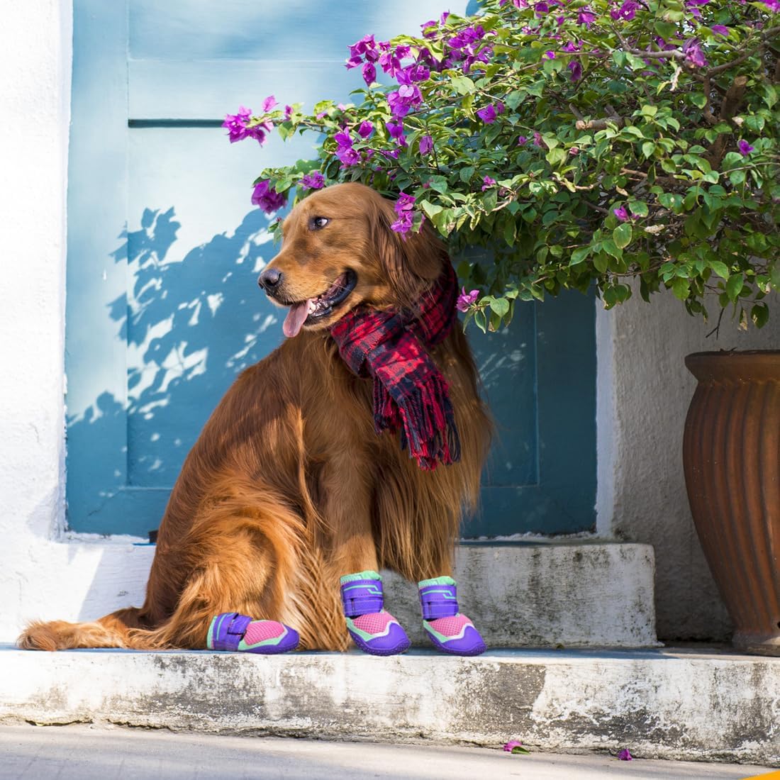 Dog Boots for Large Medium Small Dogs, Dog Shoes for Winter Snow, Non- Slip Outdoor Dog Booties Paw Protectors with Reflective Strips for Snowy Hardwood Floor Hiking Walking, Size 1