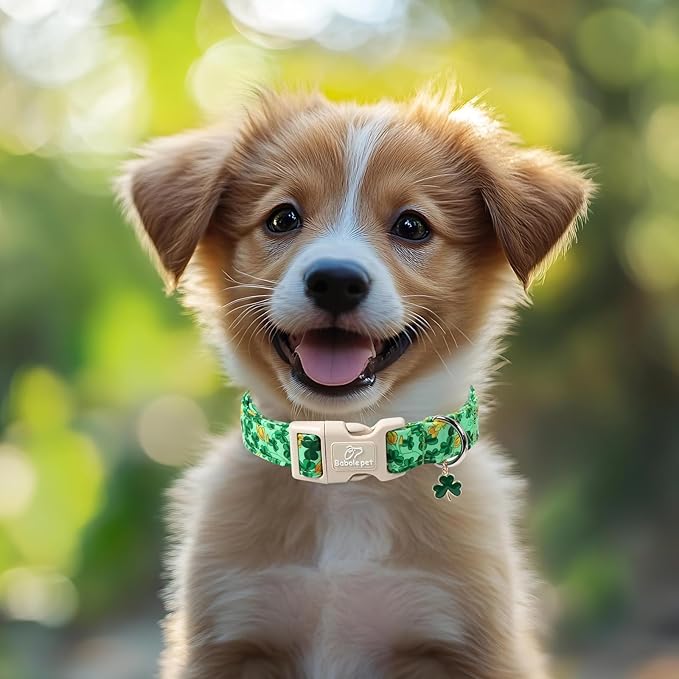 St. Patrick's Day Dog Collar for Large Dogs - Green Shamrock & Yellow Flower Print Dog Collars, Cute Irish Party Puppy Collar, Lightweight Adjustable St. Patricks Day Pet Collars XL