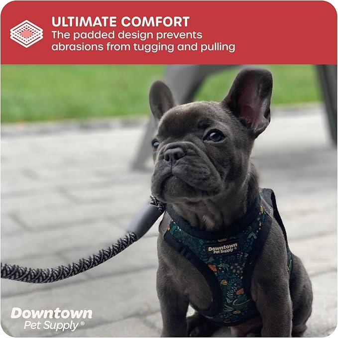 Downtown Pet Supply Step-in Dog Harness – No Pull, Adjustable Padded Mesh with Reflective Trim, Secure Buckle Strap – Comfortable & Breathable Small Dog Harness, XX-Small, Dinosaur