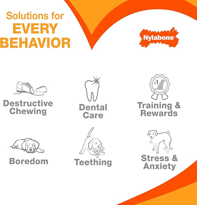 Nylabone Textured Bone Power Chew Toy for Dogs, Durable & Tough Dog Toys for Aggressive Chewers, Beef Jerky Flavor, Small Dogs - Up to 25 Ibs, 1 Count