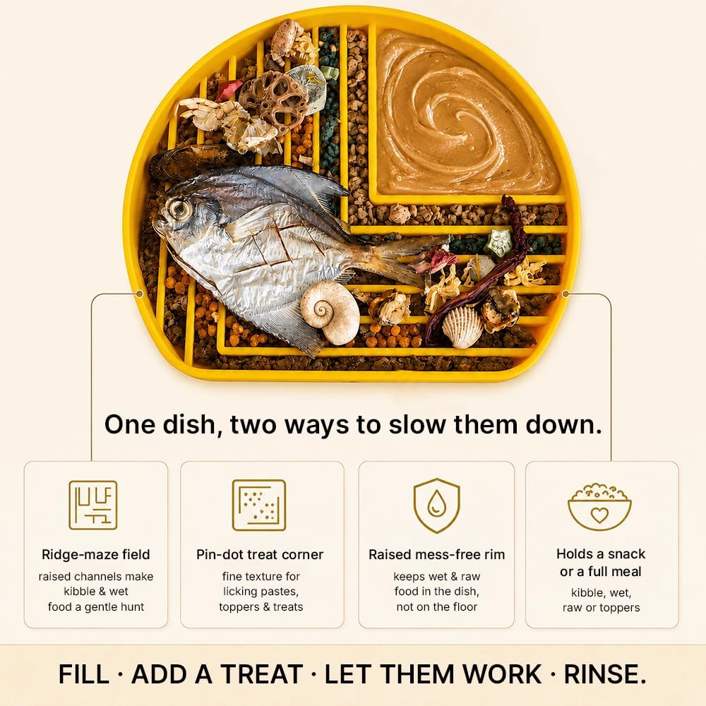 Snack Dish Slow Feeder Bowl for Dogs & Cats – Dual Pattern Design with Treat Corner, Mess-Free Feeding, Dishwasher Safe | Kubi Pets