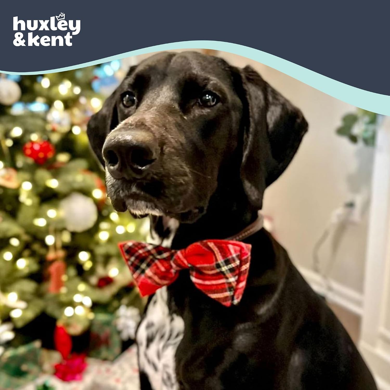 Huxley & Kent Pet Bow Tie for Dogs & Cats - Holiday Adjustable Hook & Loop Collar Accessory - Cute & Comfortable for Holidays & Celebrations - Christmas Plaid, Large | Hook & Loop Attaches to Any Collar, Soft Polyester, Lightweight & Machine Washable