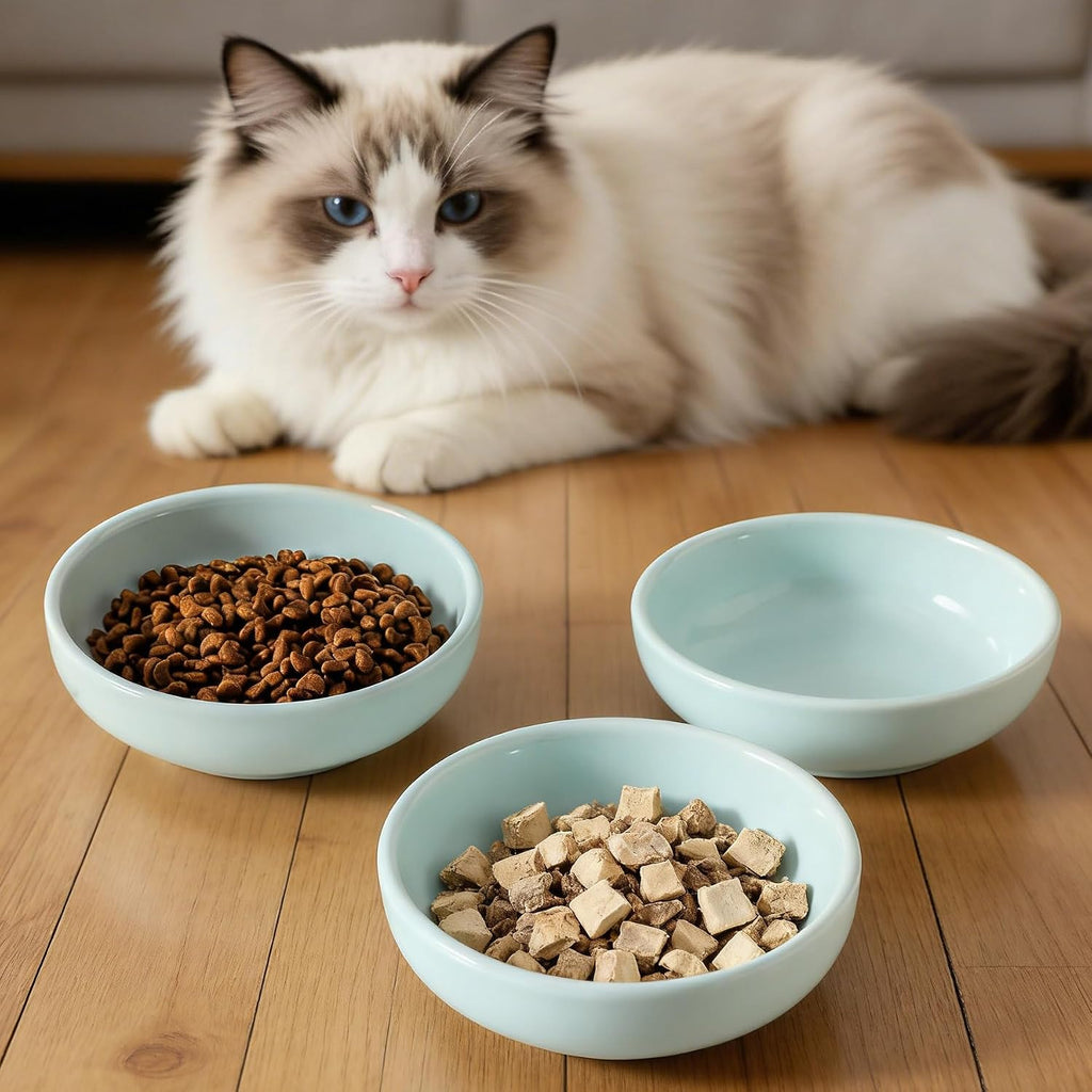 5.3 in Ceramic Cat Dishes - Shallow Food Bowls for Small Pets, 3 Pack for Food and Water -Light Blue