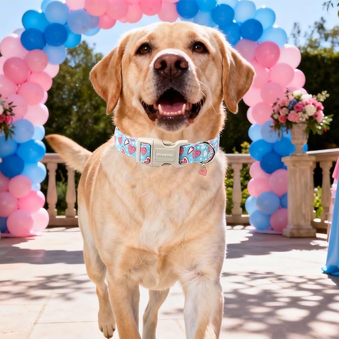 DOGWONG Blue Heart Dog Collar, Cute Valentine Puppy Collar, Valentine's Day Dog Collar with Strong Plastic Buckle for Small Medium Large Dogs,XS