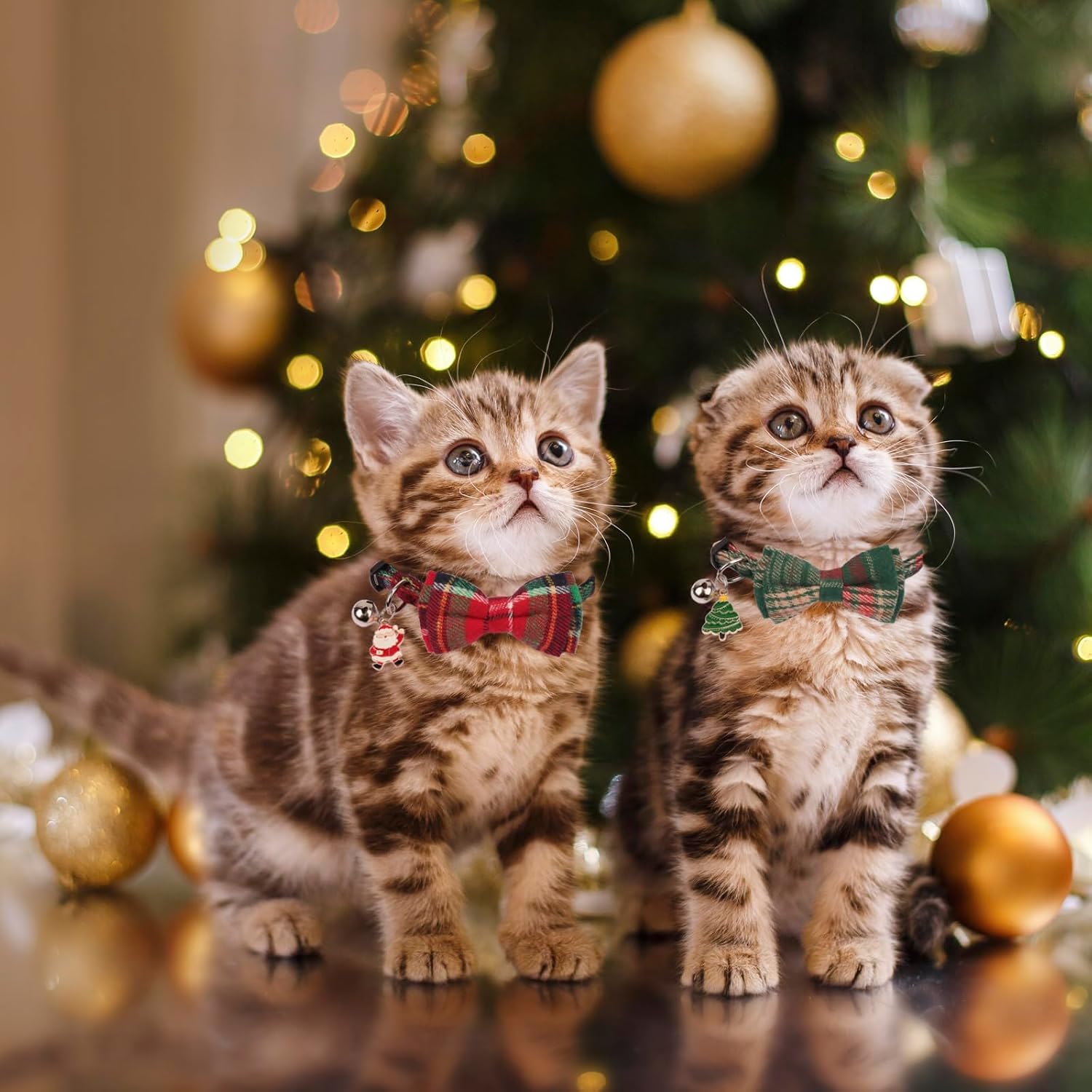 PTDECOR Christmas Cat Collars, Xmas Red Green Plaid Bowtie Collars | Detachable Bow Tie, Safe Breakaway Buckle, Adjustable, 2 Pack Xmas Red Green Charm Bell Christmas Collar for Cats Kittens