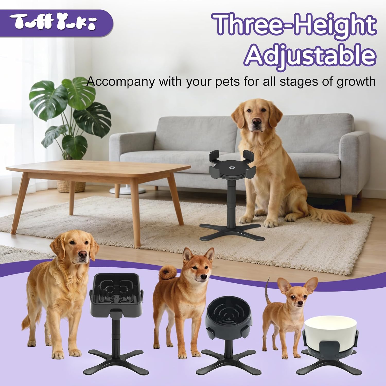 Raised Food Bowl for Dogs,Tilted Pet Feeder Stand,Non Slip Dog Bowls Stand,Dog Food Bowl Stand，for Small Medium Dogs,Adjustable for 5.5"-9.6" Bowls，Heavy-Duty Plastic，(Black, 1-Pack)