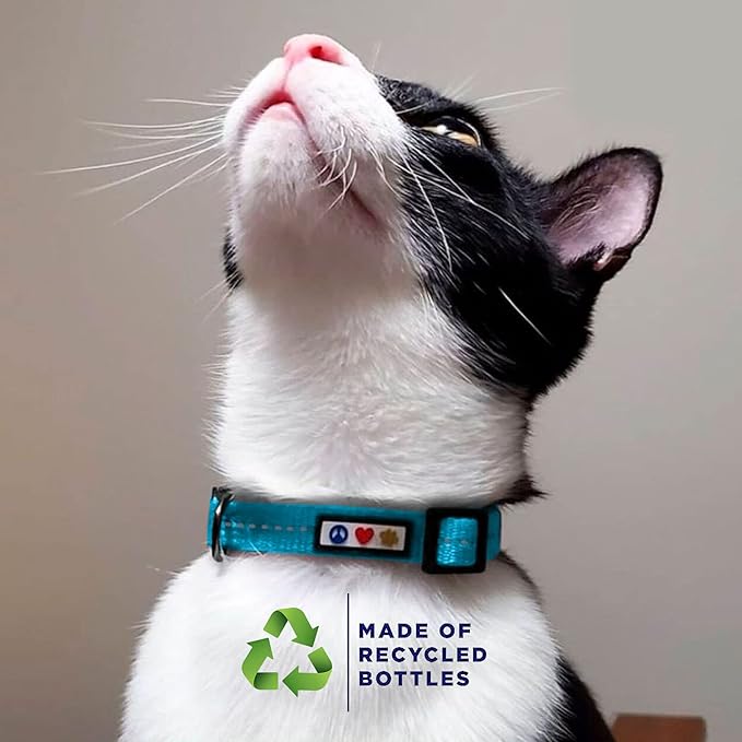 Pawtitas Recycled Pink Reflective Cat Collar – Eco-Friendly Breakaway Safety Buckle, Adjustable Kitten & Adult Collar with Removable Bell and High-Visibility Strap