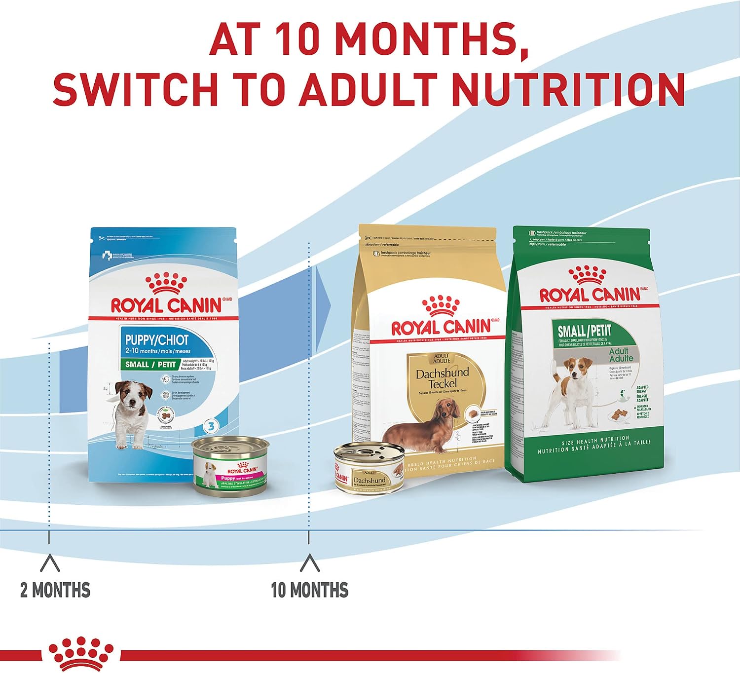 ROYAL CANIN Size Health Nutrition Small Puppy Dry Dog Food, 14 lb Bag | Supports Growth and Development, Specially Sized Kibble, Tailored Nutrition for Small Breeds, 14 lb Bag