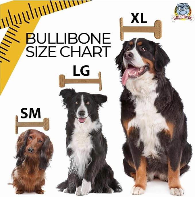 Bullibone Nylon Dog Chew Toy for Aggressive Chewers - Dental Hygiene Bone with Bacon Flavor, Durable Tough Chew Toys for Small Dogs, Indestructible Dog Bone - 3 Pack
