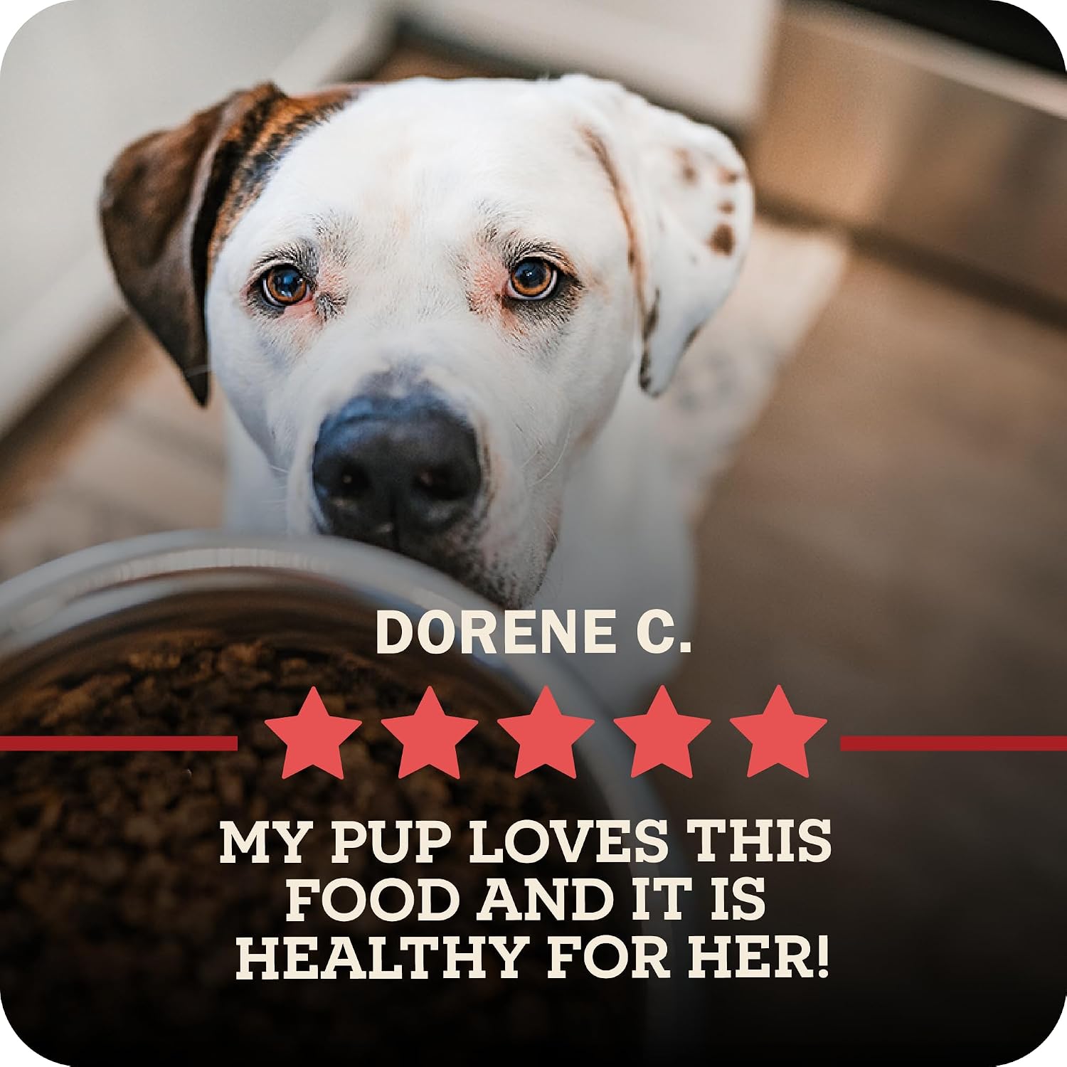 Redbarn Powerfood Air Dried Dog Food Small Breed Recipe 2 lbs - 91% Chicken & Chicken Organs with Blueberries Prebiotics Postbiotics Grain Free Wholesome Pet Food Made in USA