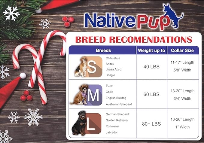 Native Pup Christmas Dog Collar- Winter Holiday Collars for Pets- Xmas Gift for Puppy- Santa, Reindeer, Snowman, Candy Cane, Red Green- Girl Boy- Small, Medium, Large Breeds (Red Snowflake, Small)