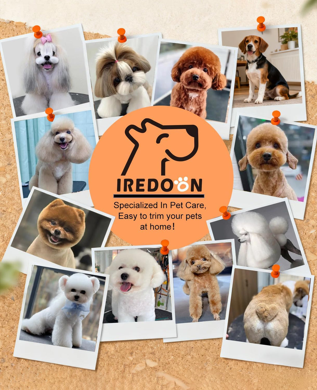 IREDOON Dog Paw Trimmer with LED Light, 8PCS Grooming Kit for Dogs & Cats | 35dB Low-Noise,Safe Curved Ceramic Blade, Cordless Precision Pet Hair trimmer for Grooming, for Paws, Eyes, Ears, Face, Rump