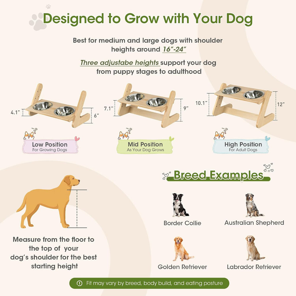 Solid Birch Wood Elevated Dog Bowl Stand for Large & Medium Dogs | Raised Dog Bowl Stand, 3 Heights, 10° Angled Top, Water-Resistant Finish, 2 Stainless Bowls, 8" Openings