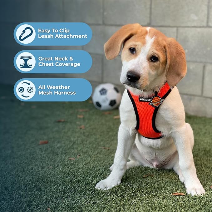 Best Pet Supplies Voyager Step-in Air All Weather Mesh Harness and Reflective Dog 5 ft Leash Combo with Neoprene Handle, for Small, Medium and Large Breed Puppies - Orange/Black Trim, Small