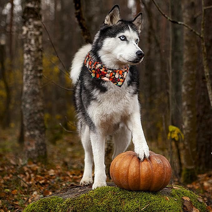 Fall Dog Collar, Leaf Pumpkin Print Adjustable Pet Collar Cute Cotton Soft Collars with Bow Tie Metal Buckle Holiday Puppy Collars Boy&Girl Gift for Large Dogs