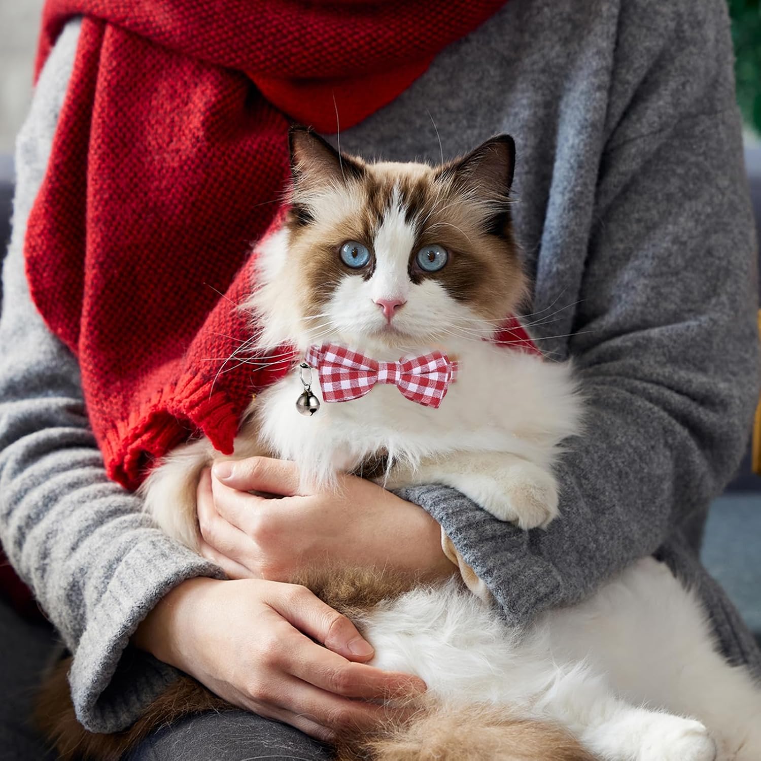 2 Pcs Red Cat Collar for Boy Girl Cats Breakaway Cat Collars with Bell Cute Christmas Kitten Bow Tie Collar Adjustable Small Puppy Safety Collar Solid Color Plaid Pet Collar