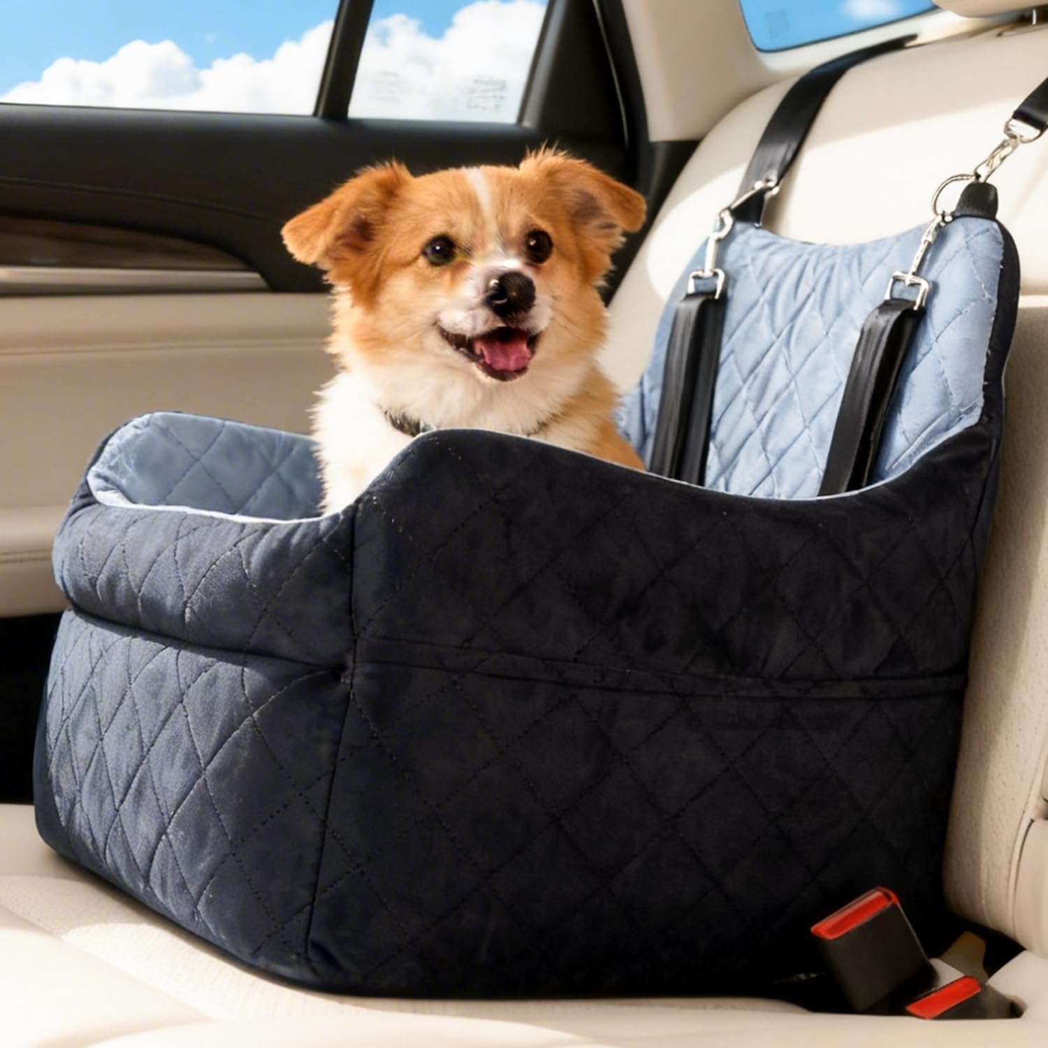 Dog Car Seat for Small Dogs, Elevated Booster Seat with Leash | Washable Pet Travel Bed with Anti-Slip Base, Cozy Padded Car Seat for Dogs Up to 30 lbs, Secure & Comfortable Road Trips