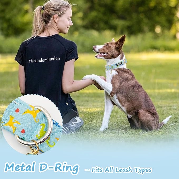 Dinosaur Dog Collar for Medium Dogs, Cute Puppy Collars with Quick Release Buckle, Cotton Dog Collars for Small Medium Large Dogs, Fashion Pet Collar for Girl Boy Dog-M
