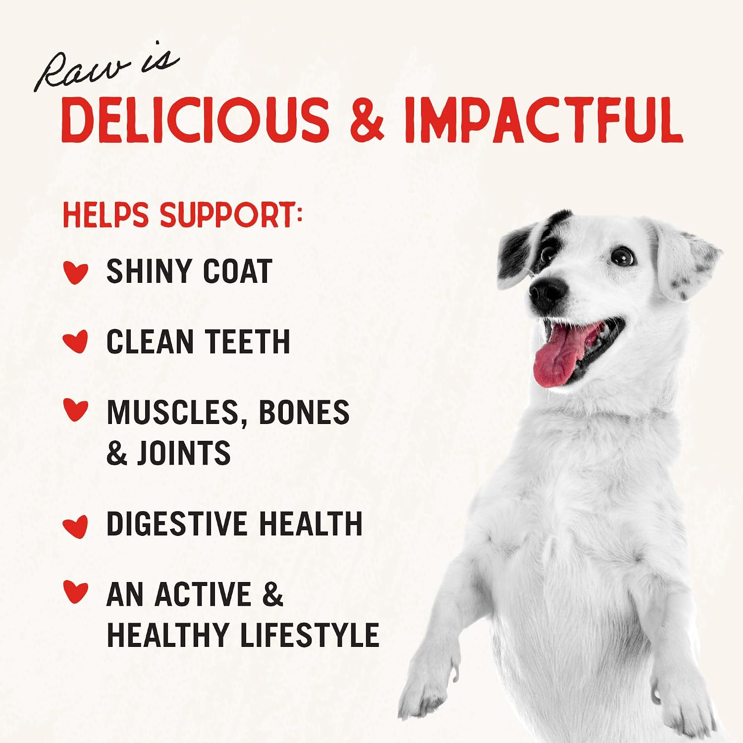 Stella & Chewy's Freeze-Dried Raw Chicken Heart Dog Treats - Single Ingredient, No Additives - Premium Training Treats - Perfect for Picky Eaters - 11oz Bag