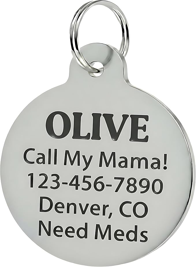 Bad Tags Personalized Dog and Cat ID Tags in 25+ Designs and 2 Sizes - 5 Lines of Custom Engraved Text - Funny Cute Personalized Pet Tags (Silently Judging - Green, Small (1 inch))