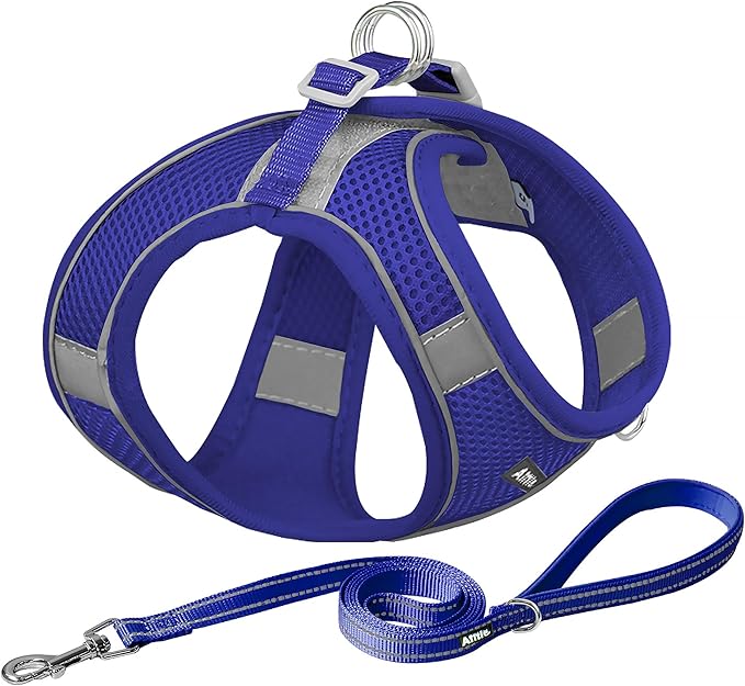 AIITLE Comfortable Dog Harness and Leash Set for Walking - Step in Vest Harness,Reflective Bands, Adjustable No Pull Puppy Essentials, for Small Dogs and House Cats Royal Blue XS