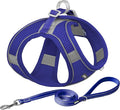 AIITLE No Pull Dog Harness and Leash Set, Step in Adjustable Dog Harness with Padded Vest for All Weather, Dog Leash with Soft Padded Handle, Easy to Put on Small and Medium Dogs Royal Blue S