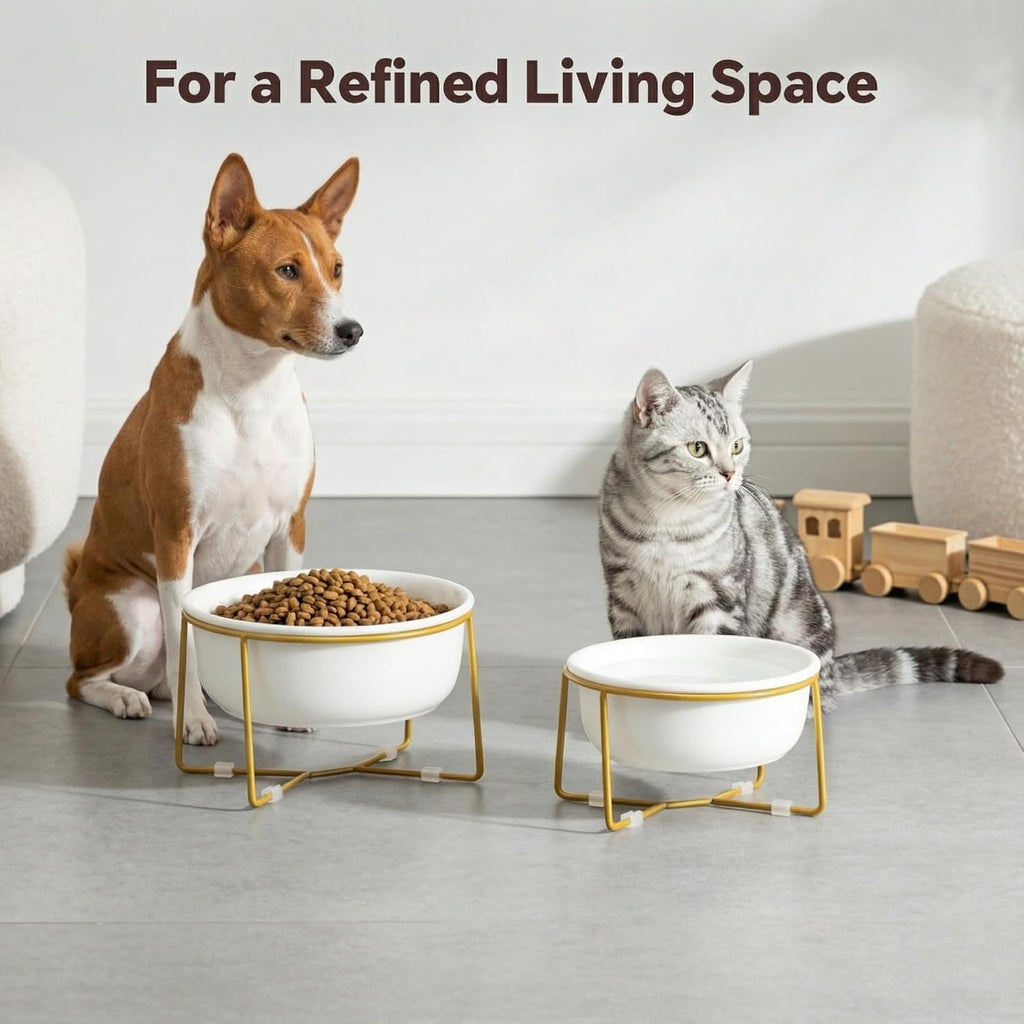 Elevated Ceramic Dog Bowl with Metal Stand - Raised Feeding Dish for Small and Medium Dogs - Ideal for Food or Water - Each Holds 600ml / 3.2 Cups (Approx. 320g) - White