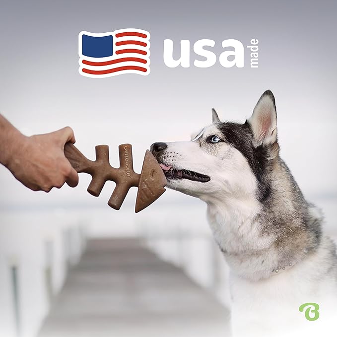 Benebone Fishbone Durable Dog Chew Toy for Aggressive Chewers, Real Fish, Made in USA, Large