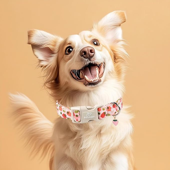 Strawberry Dog Collar for Small Dogs - Cute Spring Pink Dog Collars, Summer Pastel Puppy Collars, Soft Adjustable Boy Girl Dogs Collar with Quick-Release Buckle S