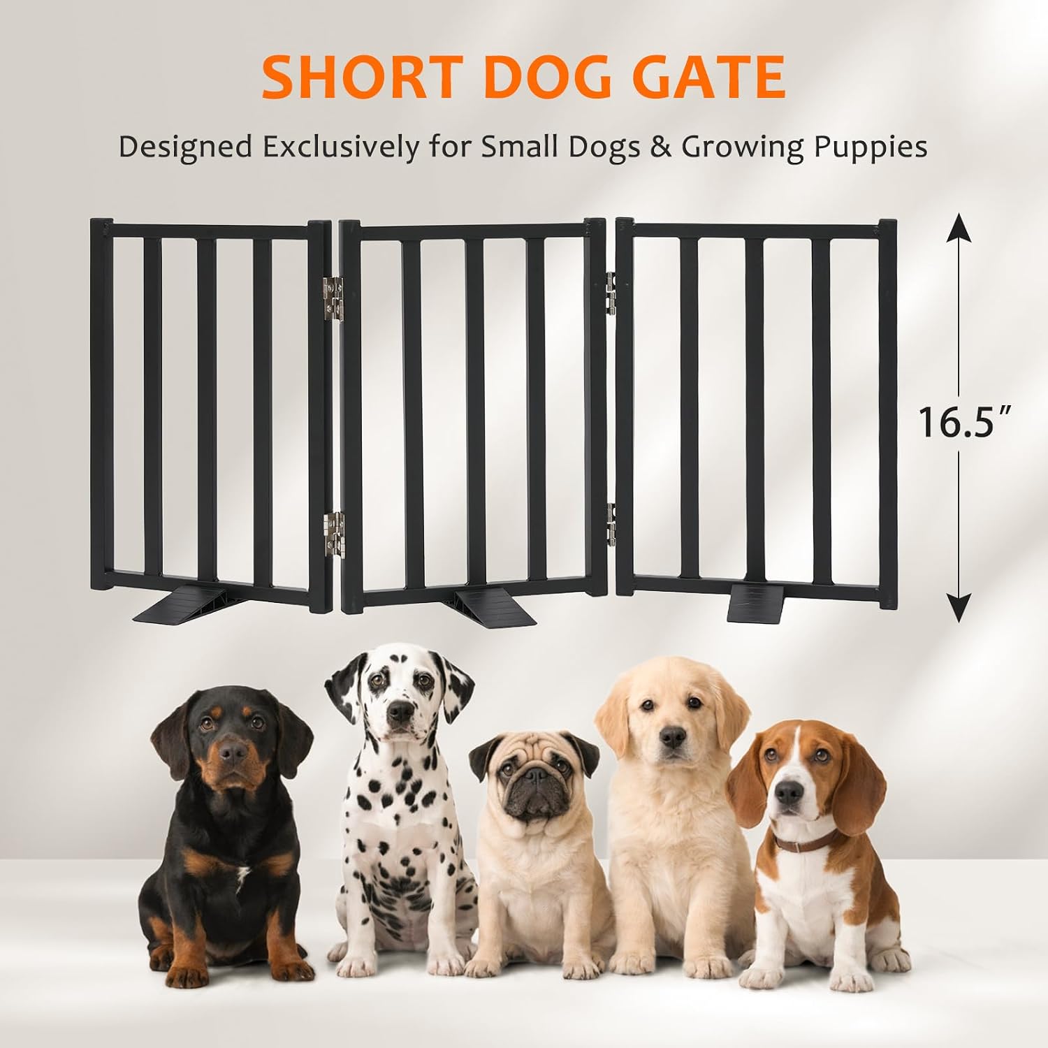 Snagle Paw Freestanding Short Dog Gate, 16.5" Tall, 3-Panel, Black | Up to 36 in wide, foldable, easy step-over, stable feet, for small dogs, doorways, stairs and kitchens