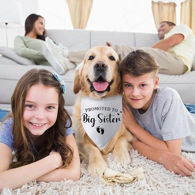 Promoted to Big Sister Pregnancy Announcement Dog Bandana Baby Gender Reveal Baby Announcement Photo Props Dog Scarf for Large Medium Small Dogs