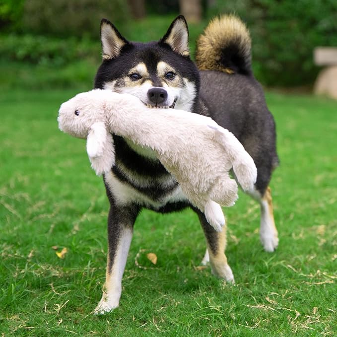 Best Pet Supplies Squeaky Dog Toys with Soft Durable Fabric for Small, Medium and Large Pets Interactive Toy for Indoor Play, Supports Active Biting and Play - Hare, Pig, Large