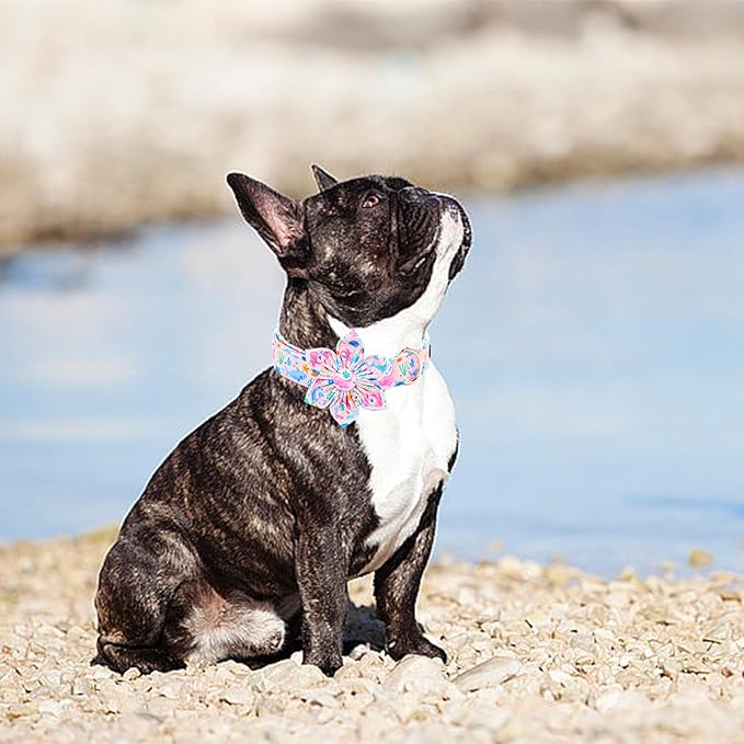 Lionheart glory Dog Collar Flower Collar Pink Dog Collars with Flower Summer Cute Sea Animals Print Collar Dog Female Soft Durable Adjustable Dog Collars for Large Dogs