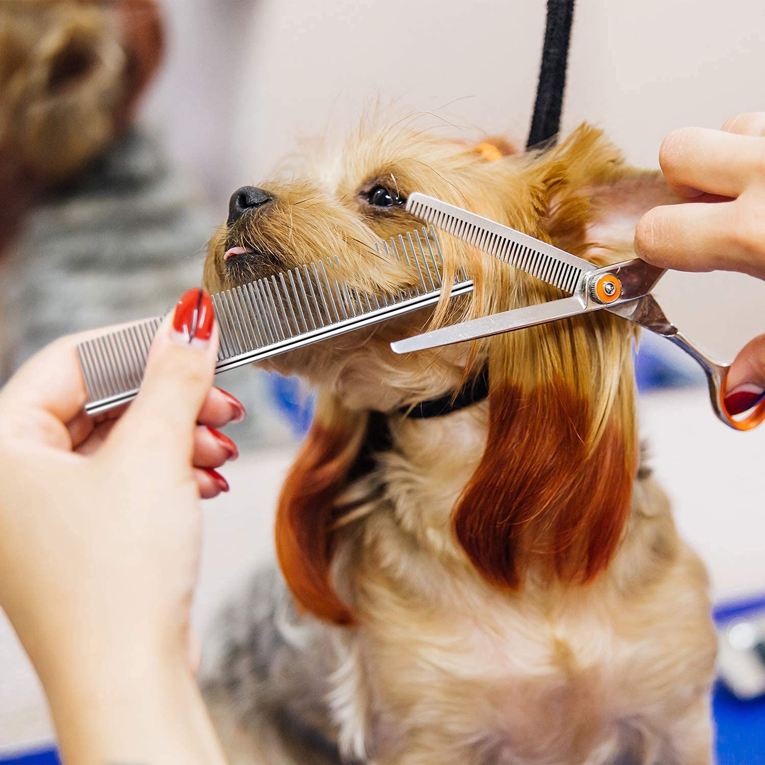 Dog Combs for Grooming, Metal Cat Comb for Long Haired | Removing Tangles and Knots, Professional Grooming Tool for Long Haired Dog, Cat and other pets