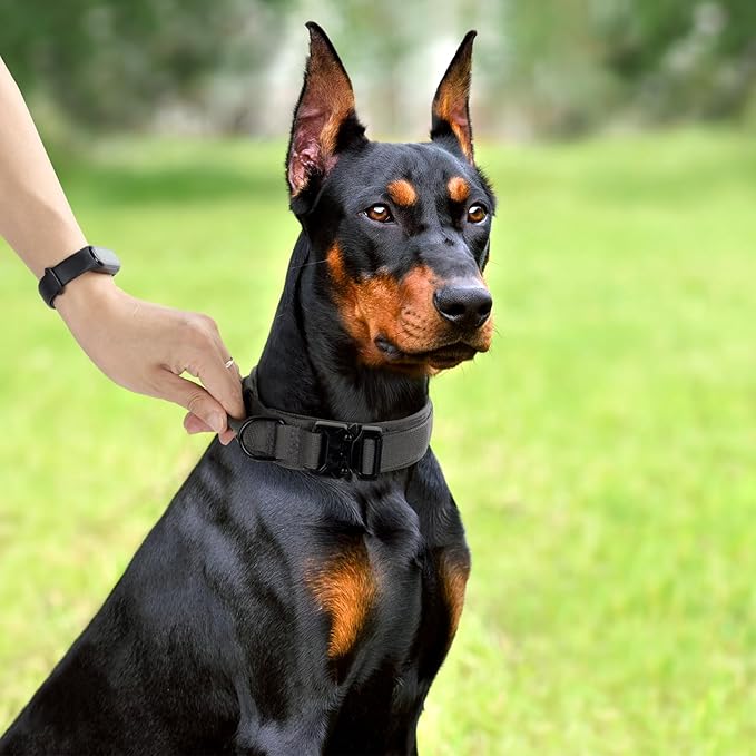 Tactical Dog Collar, Adjustable Military Training Nylon Dog Collar with Control Handle and Heavy Quick-Release Metal Buckle for Small Medium Large Dogs, Grey S