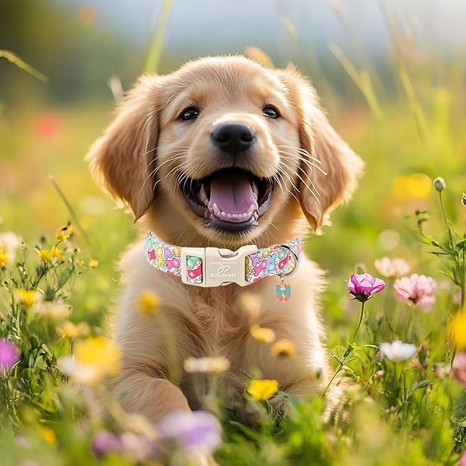 Easter Dog Collar for Puppy Small Dogs - Colorful Bunny Print Easter Collar for Male Female Dogs, Lightweight Adjustable Spring Holiaday Dog Collars with Quick Release Buckle XS