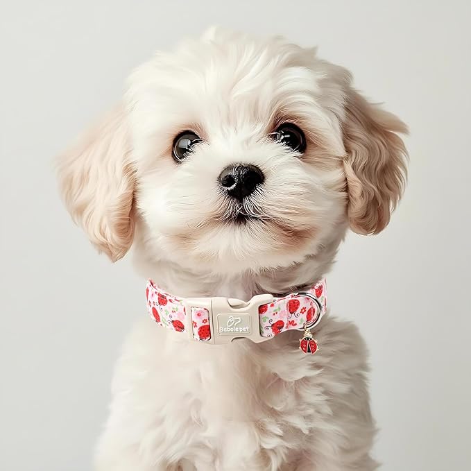 Lucky Ladybug Dog Collar for Small Dogs - Sweet Pink Girl Dog Collars, Lightweight Adjustable Spring Garden Mom Dogs Collars with Quick Release Buckle S