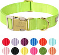 Nylon Dog Collar - Adjustable Fluorescent Green Soft Webbing Dog Collars for Small Medium Large Dogs Boy Girl Puppy Collar with Safety Metal Buckle XS