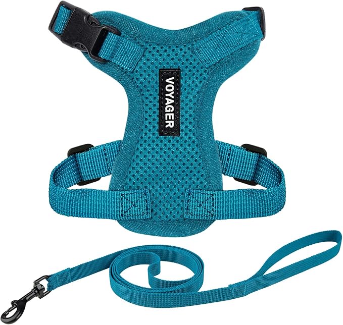 Voyager Escape-Proof Step-in Lock Cat Harness & 5ft Neoprene-Handle Leash Set All-Weather Mesh with Reflective Stitching for Small to Large Cats by Best Pet Supplies, Turquoise, XS