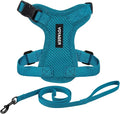 Voyager Escape-Proof Step-in Lock Cat Harness & 5ft Neoprene-Handle Leash Set All-Weather Mesh with Reflective Stitching for Small to Large Cats by Best Pet Supplies, Turquoise, XXXS