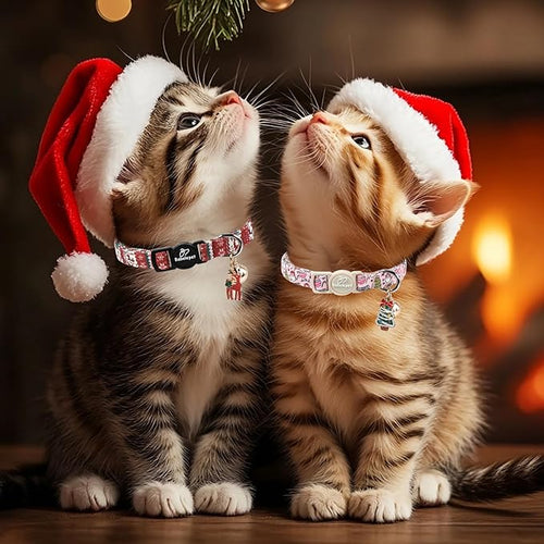 2 Pack Christmas Cat Collars - Breakaway Cat Collar with Bell, Christmas Tree and Santa Pendant, Winter Adjustable Kitten Collars for Girl Boy Cats, Pink&Red